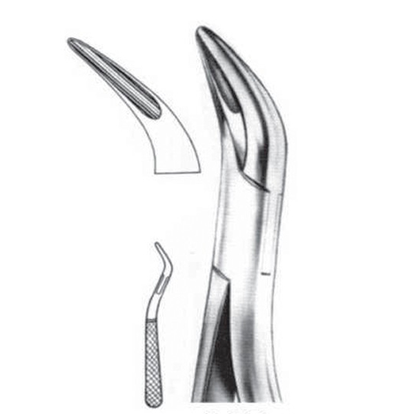 FORCEPS N.2