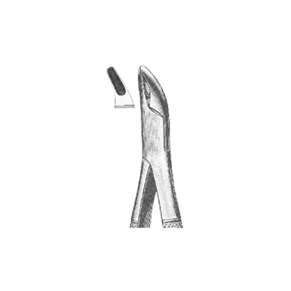 FORCEPS AMERICANO N.101