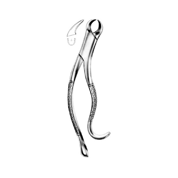 FORCEPS AMERICANO N.16